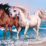 Animals Jigsaw Puzzle – Horses