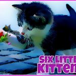 Six Little Kittens